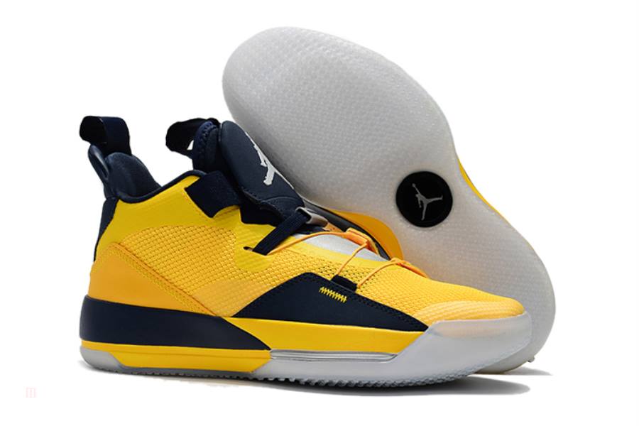 Air jordan 33 michigan clearance
